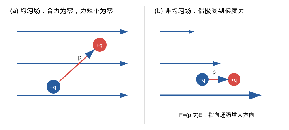 均匀场中的偶极力偶与非均匀场中的梯度力