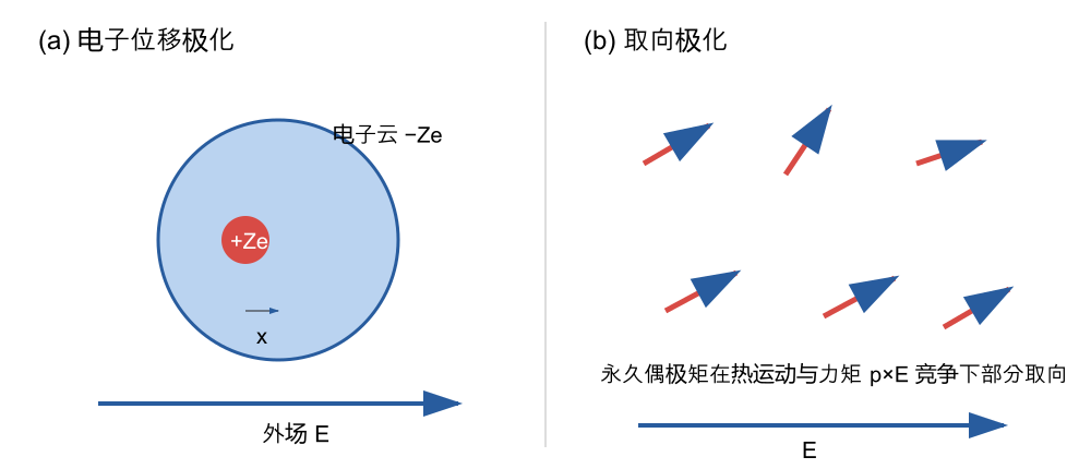 电子位移极化与取向极化的微观模型